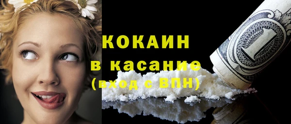 индика Баксан