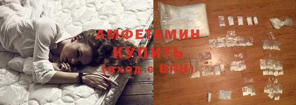 индика Баксан