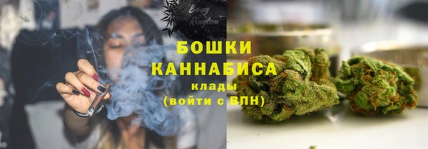 индика Баксан