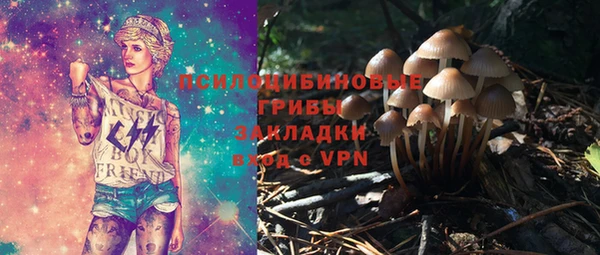 ПСИЛОЦИБИНОВЫЕ ГРИБЫ Сафоново