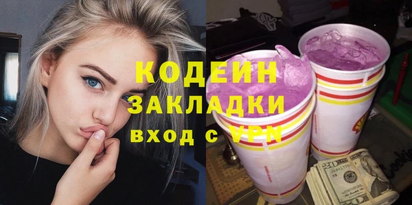 индика Баксан
