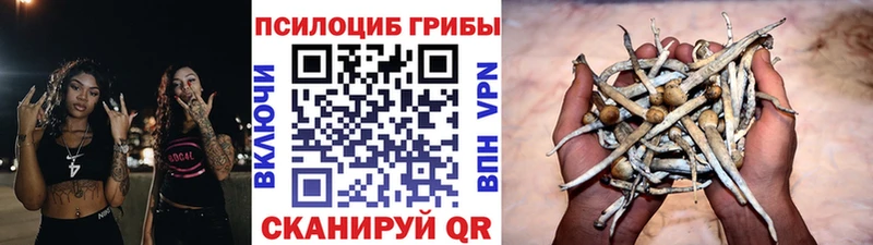 ОМГ ОМГ ONION  Козельск  Галлюциногенные грибы GOLDEN TEACHER 